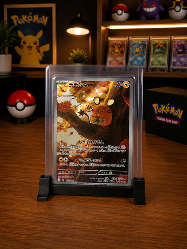 Trading card display - card, |