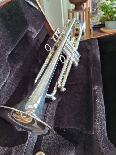 Carol professional trumpet - carol,