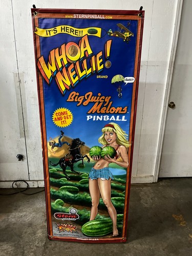 Stern whoa nellie pinball - whoa,