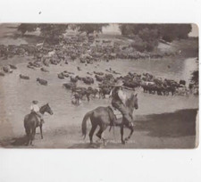 Malta Montana 1905  postcard