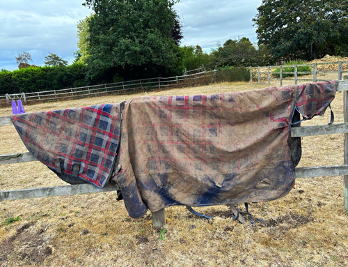 Masta 50g turnout rug - 6’6,