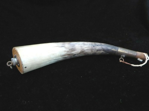 Antique vintage cow horn - /,