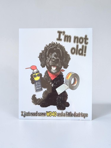 Labradoodle funny not old - labradoodle, i'm