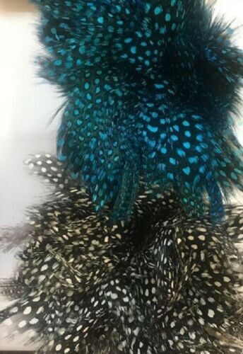 Strung guinea fowl - strung,