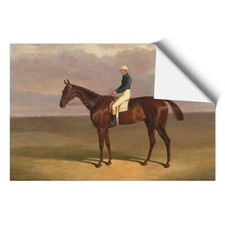Margrave horse john - margrave,