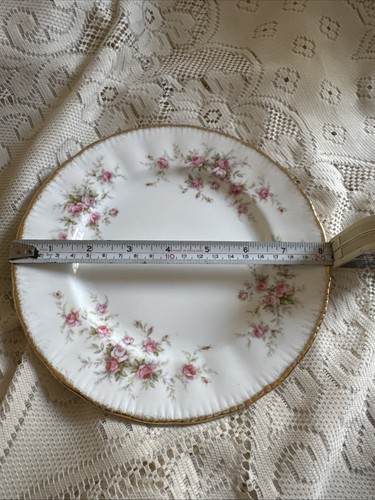 Paragon victoriana rose - paragon,