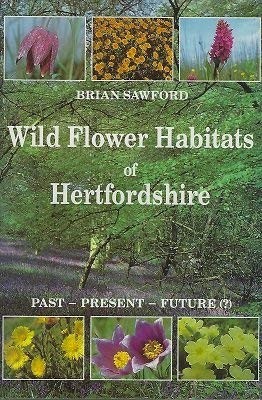 Wild flower habitats - wild, of