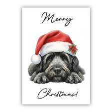 Bouvier des Flandres Christmas
