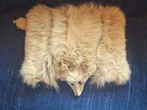 Vintage jonedom fox - fox, stole