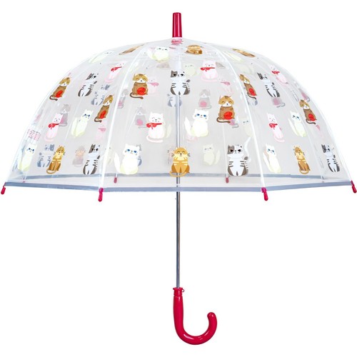 Super cute kitten cat print - cute,