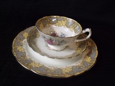 RARE PARAGON QUEEN'S ROSE