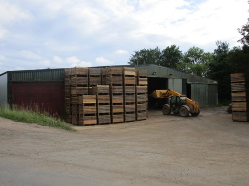 Photo 6x4 shed and pallets - shed,
