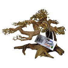 Superfish aquarium fish - superfish,