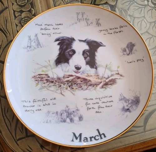 Lovely danbury mint border - danbury,