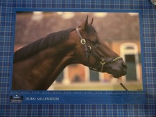 Godolphin - limited edition