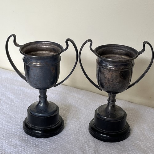 Small vintage epns trophy - 2,
