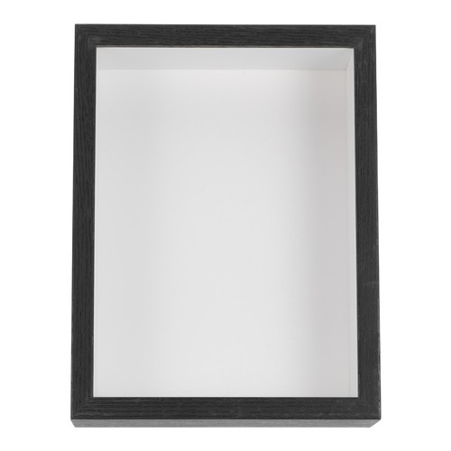 Display case for dragonfly - display,