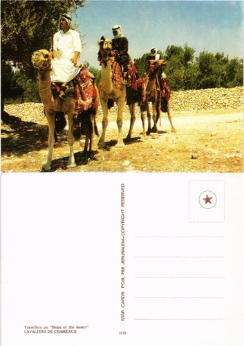 Cpm israel camel - cpm,