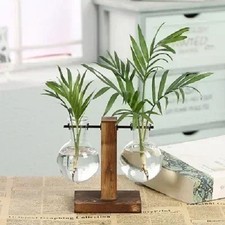 Plant Propagation Station
