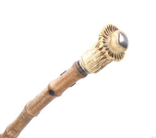 Antique stag antler walking - stag,