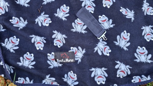 Horse frog fleece rug 3 - horse,
