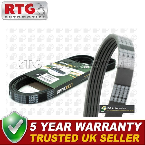 Rtg drive belt fits 75 - rtg, 45