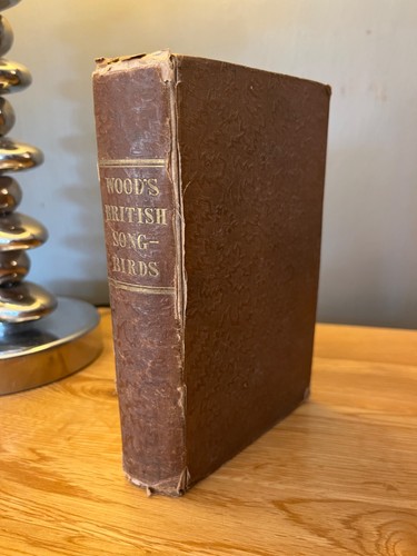 British song birds - song,