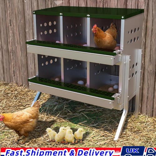 Compartment chicken nesting - chicken,