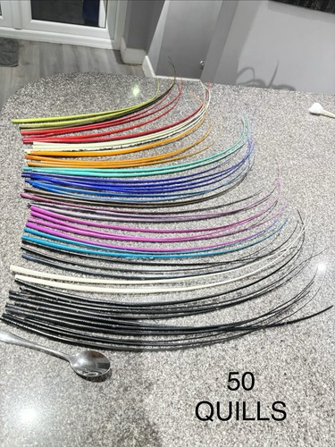Quills all sorted headwear - sorted,