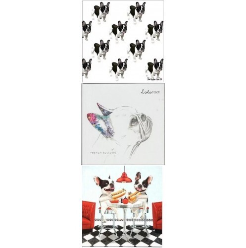 Funny cute french bulldog - cute,