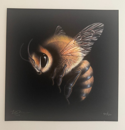Dylan floyd art republic - -,