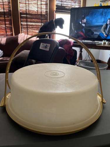 Vintage tupperware pie cake - pie,