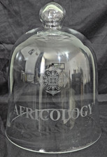 Large Glass Cloche Dome/Bell With Top Knot, Apothecary - 13 ins x 10 ins