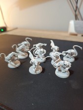 Skaven Blood Bowl Team 