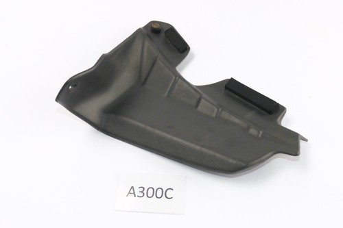 Aprilia etv 1000 capo - 1000,