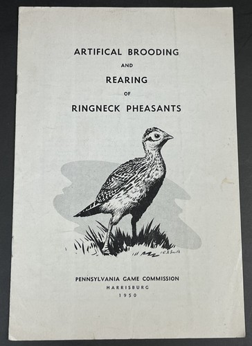 Ringneck pheasants artifical - pheasants,