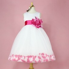 Pink Fuchsia Petals Easter