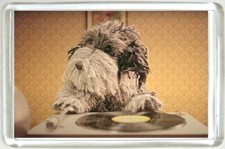 AA Dog Fridge Magnet with