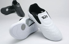 Turf Taekwondo TKD Indoor