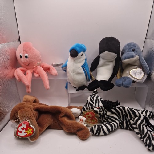 Joblot ty beanie - of, 6