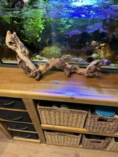 Natural Aquarium Driftwood