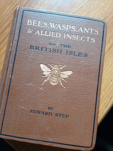 Bees wasps ants - &, allied