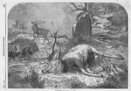 Deer hunting the - revenge, by