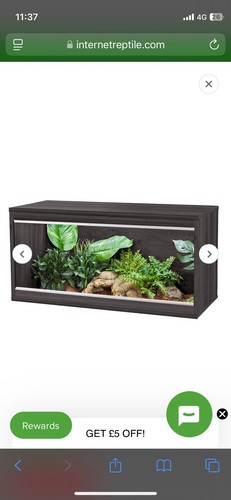 Reptile vivarium medium - medium, grey