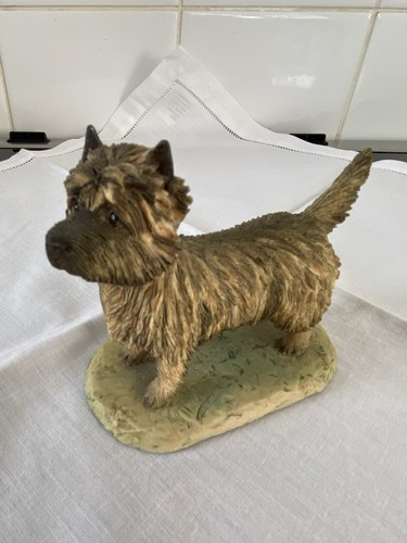 Cairne terrier border - terrier,