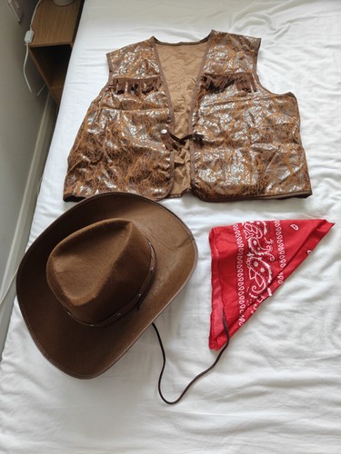 Fancy dress cowboy - fancy,