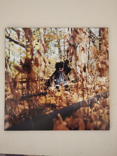 Billy woods golliwog - golliwog, vinyl