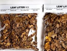 2L Rainforest Leaf  Litter Mix