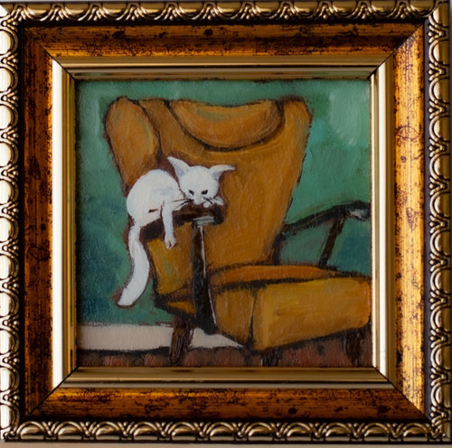 Miniature white cat yellow - cat, on