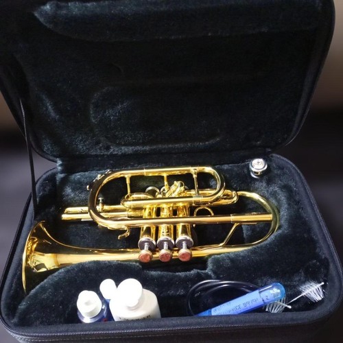 Jupiter jcr 700 cornet gold - cornet,
